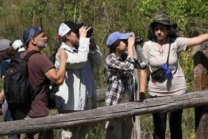 abrio-la-inscripcion-para-la-escuela-argentina-de-naturalistas:-como-anotarse