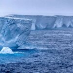detectan-nanoplasticos-en-los-suelos-mas-aislados-de-la-antartida-y-crece-la-preocupacion-global