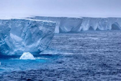 detectan-nanoplasticos-en-los-suelos-mas-aislados-de-la-antartida-y-crece-la-preocupacion-global