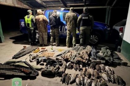 desbarataron-en-santa-fe-una-red-de-caza-y-pesca-ilegal-y-secuestraron-mas-de-38-toneladas-de-pescado