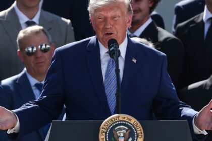 el-gobierno-de-trump-anuncio-aranceles-a-60-paises-y-un-10%-para-productos-argentinos