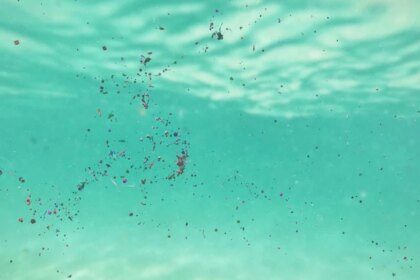 los-nanoplasticos-en-el-agua-potable-podrian-fortalecer-bacterias-peligrosas,-segun-un-estudio
