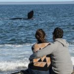 puerto-madryn:-invierno-activo-en-la-ciudad-y-sus-costas