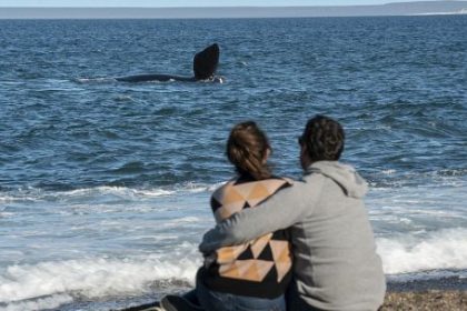puerto-madryn:-invierno-activo-en-la-ciudad-y-sus-costas