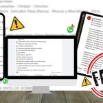 es-falso-que-el-doble-terremoto-provoco-una-invasion-masiva-de-serpientes-y-cocodrilos-en-casas-y-edificios.