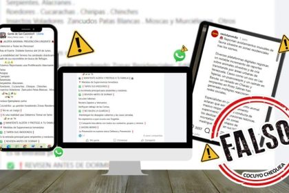 es-falso-que-el-doble-terremoto-provoco-una-invasion-masiva-de-serpientes-y-cocodrilos-en-casas-y-edificios.