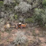 la-deforestacion-afecto-mas-de-40-mil-hectareas-en-el-norte-argentino-durante-los-primeros-seis-meses-del-ano