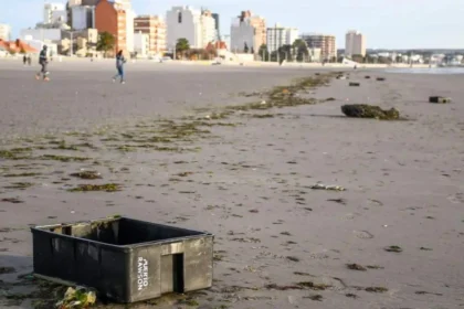 encontraron-mas-de-700-cajones-pesqueros-en-las-playas-de-puerto-madryn-y-crece-el-reclamo-por-controles