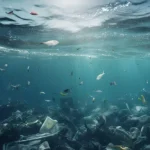 crearon-un-sistema-para-detectar-la-contaminacion-plastica-en-los-oceanos-y-esto-fue-lo-que-revelaron