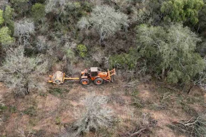 la-deforestacion-ya-arraso-dos-veces-la-superficie-de-la-ciudad-de-buenos-aires