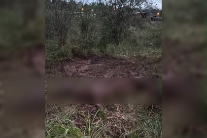 un-caballo-murio tras-permanecer-abandonado en-el-barro durante-dos-dias en-obera