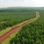 la-asociacion-forestal-argentina-marco-los-puntos-de-apoyo-a-las-modificaciones-de-la-ley-de-tierras-para-destrabar-proyectos-forestales-de-escala