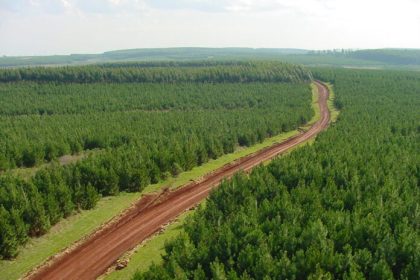 la-asociacion-forestal-argentina-marco-los-puntos-de-apoyo-a-las-modificaciones-de-la-ley-de-tierras-para-destrabar-proyectos-forestales-de-escala