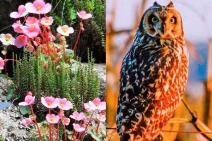 invitan-a-fotografiar-la-naturaleza-para-ayudar-a-la-ciencia