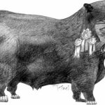 los-generales-en-su-laberinto