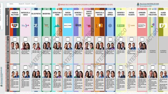 bup:-un-estreno-mas-caro-que-aumento-los-votos-nulos-y-no-sumo-nuevos-electores