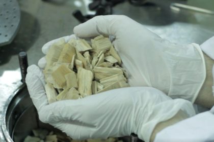 dos-decadas-de-investigacion-en-biorrefinerias:-los-hallazgos-que-pueden-transformar-la-foresto-industria-argentina