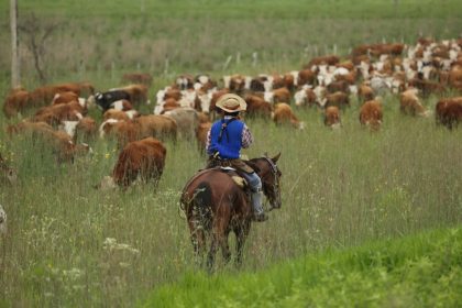 mas-de-200-productores-de-13-provincias-integran-la-alianza-del-pastizal,-una-iniciativa-que-promueve-la-conservacion-a-traves-de-la-produccion-ganadera