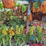garuhape-celebra-la-xi-fiesta-provincial-del-envasado-con-mas-de-50-productores