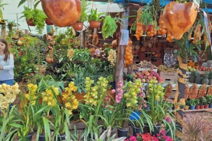 garuhape-celebra-la-xi-fiesta-provincial-del-envasado-con-mas-de-50-productores