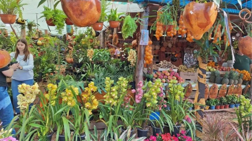garuhape-celebra-la-xi-fiesta-provincial-del-envasado-con-mas-de-50-productores