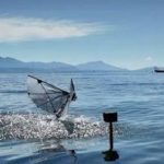 crearon-un-robot-de-300-gramos-que-imita-a-las-aves-y-puede-volar-y-bucear