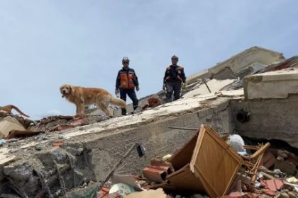 como-fue-el-operativo-de-la-brigada-argentina-de-perros-de-rescate-que-ayudo-a-buscar-sobrevivientes-en-venezuela