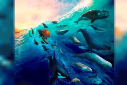 la-ciencia-argentina-reconstruyo-50-millones-de-anos-de-evolucion-de-los-cetaceos
