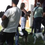 concejal-de-villa-maria-cuestiono-la-ordenanza-de-animales-comunitarios:-“termina-siendo-un-capricho-del-intendente-una-vez-mas”