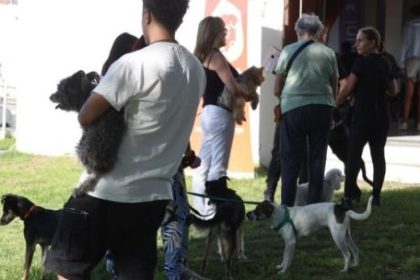 concejal-de-villa-maria-cuestiono-la-ordenanza-de-animales-comunitarios:-“termina-siendo-un-capricho-del-intendente-una-vez-mas”