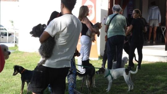 concejal-de-villa-maria-cuestiono-la-ordenanza-de-animales-comunitarios:-“termina-siendo-un-capricho-del-intendente-una-vez-mas”