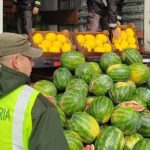 senasa-freno-el-ingreso-de-9-toneladas-de-sandias-y-melones-sin-trazabilidad-a-corrientes