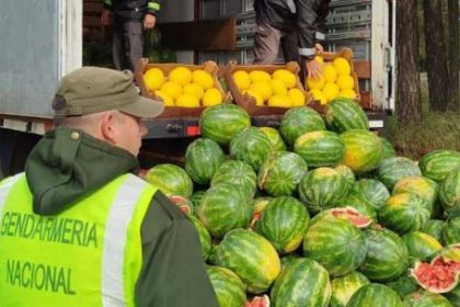 senasa-freno-el-ingreso-de-9-toneladas-de-sandias-y-melones-sin-trazabilidad-a-corrientes