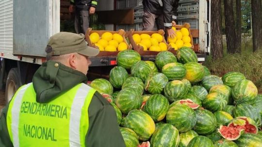 senasa-freno-el-ingreso-de-9-toneladas-de-sandias-y-melones-sin-trazabilidad-a-corrientes