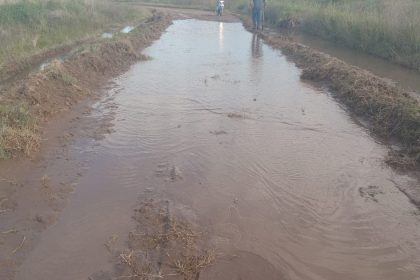 “cambiar-la-historia”:-productores-de-un-partido-bonaerense-presentaron-un-proyecto-al-municipio-para-gestionar-los-caminos-rurales.