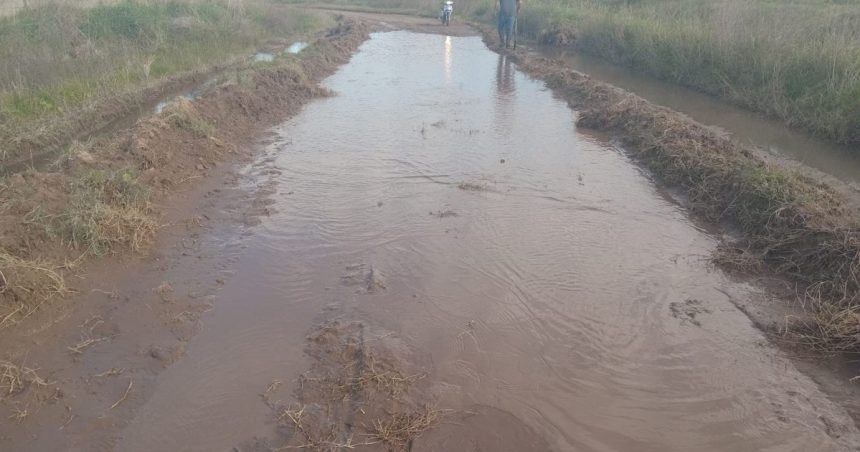 “cambiar-la-historia”:-productores-de-un-partido-bonaerense-presentaron-un-proyecto-al-municipio-para-gestionar-los-caminos-rurales.