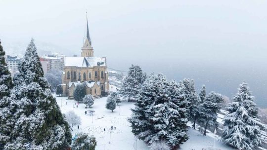 bariloche-deslumbro-en-la-expo-rural:-gastronomia,-invierno-y-turismo-masivo