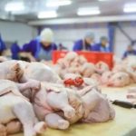 el-consumo-de-pollo-supera-a-la-carne-vacuna-y-marca-un-cambio-historico-en-argentina