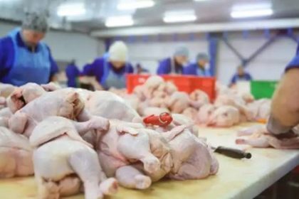 el-consumo-de-pollo-supera-a-la-carne-vacuna-y-marca-un-cambio-historico-en-argentina