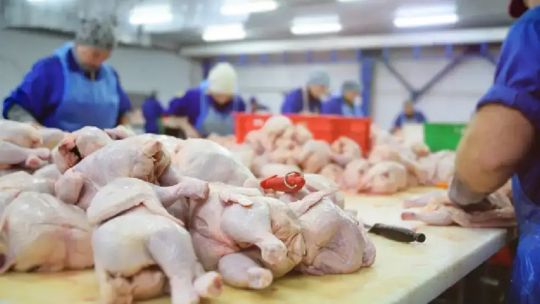 el-consumo-de-pollo-supera-a-la-carne-vacuna-y-marca-un-cambio-historico-en-argentina