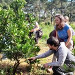 poda,-prevencion-y-control-de-plagas:-las-claves-para-preparar-los-frutales-antes-de-las-lluvias