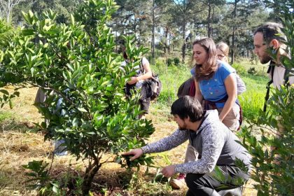 poda,-prevencion-y-control-de-plagas:-las-claves-para-preparar-los-frutales-antes-de-las-lluvias