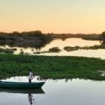 advierten-que-reactivar-sin-cuidados-la-hidrovia-del-rio-parana-puede-causar-graves-danos-ambientales
