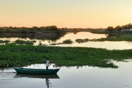 advierten-que-reactivar-sin-cuidados-la-hidrovia-del-rio-parana-puede-causar-graves-danos-ambientales