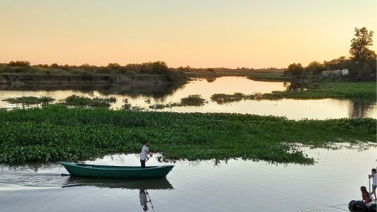 advierten-que-reactivar-sin-cuidados-la-hidrovia-del-rio-parana-puede-causar-graves-danos-ambientales
