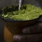 behind-yerba-mate-craze,-argentine-farmers-bemoan-milei’s-austerity
