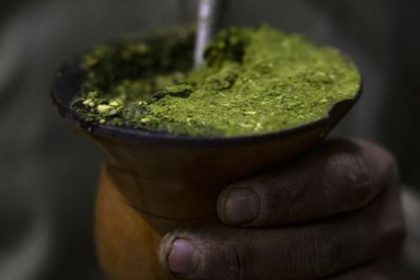 behind-yerba-mate-craze,-argentine-farmers-bemoan-milei’s-austerity