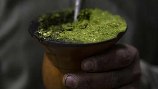 behind-yerba-mate-craze,-argentine-farmers-bemoan-milei’s-austerity
