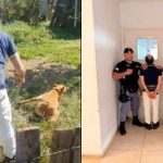 un-hombre-de-76-anos-golpeo-brutalmente-a-una-perra:-el-video-se-viralizo-y-termino-detenido