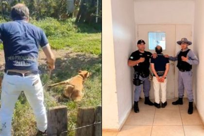un-hombre-de-76-anos-golpeo-brutalmente-a-una-perra:-el-video-se-viralizo-y-termino-detenido